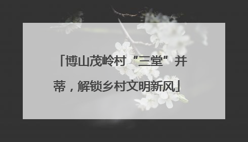 博山茂岭村“三堂”并蒂，解锁乡村文明新风