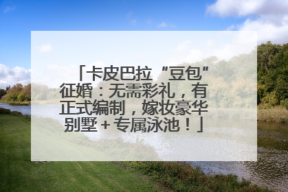 卡皮巴拉“豆包”征婚：无需彩礼，有正式编制，嫁妆豪华别墅＋专属泳池！