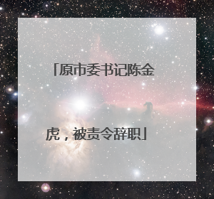 原市委书记陈金虎，被责令辞职