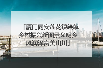 厦门同安莲花镇绘就乡村振兴新图景文明乡风润泽富美山川