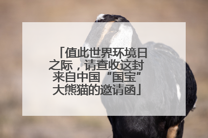 值此世界环境日之际，请查收这封来自中国“国宝”大熊猫的邀请函