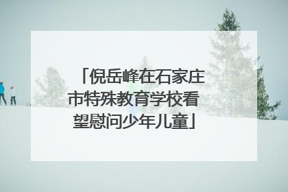 倪岳峰在石家庄市特殊教育学校看望慰问少年儿童