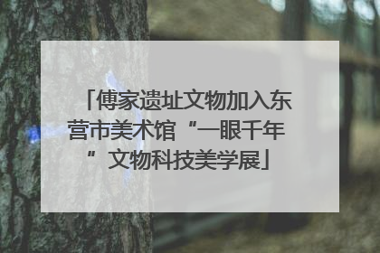 傅家遗址文物加入东营市美术馆“一眼千年”文物科技美学展