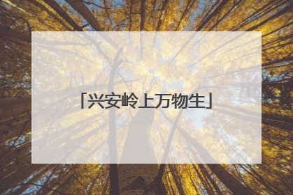 兴安岭上万物生