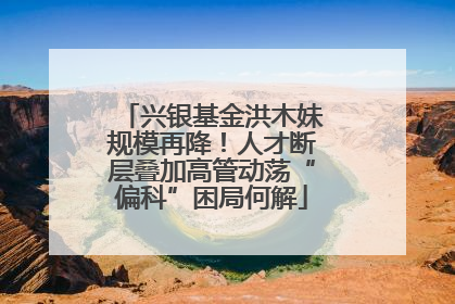 兴银基金洪木妹规模再降！人才断层叠加高管动荡“偏科”困局何解