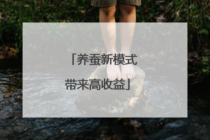 养蚕新模式带来高收益