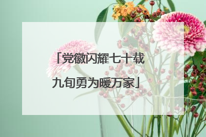 党徽闪耀七十载 九旬勇为暖万家