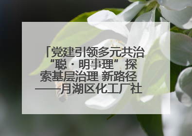 党建引领多元共治 “聪・明事理”探索基层治理 新路径——月湖区化工厂社区新实践