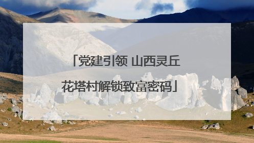 党建引领 山西灵丘花塔村解锁致富密码