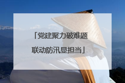 党建聚力破难题 联动防汛显担当