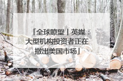 全球瞭望丨英媒：大型机构投资者正在撤出美国市场