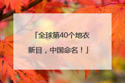 全球第40个地衣新目，中国命名！