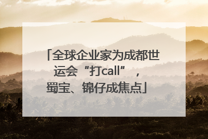 全球企业家为成都世运会“打call”，蜀宝、锦仔成焦点