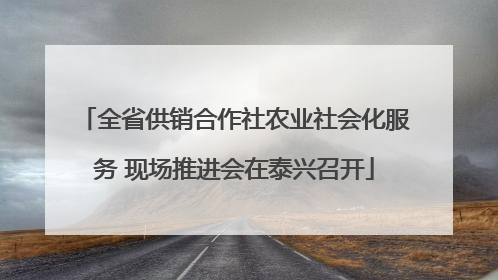 全省供销合作社农业社会化服务 现场推进会在泰兴召开