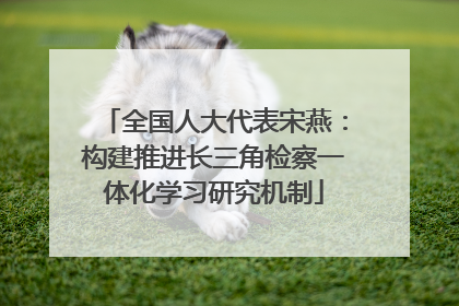 全国人大代表宋燕：构建推进长三角检察一体化学习研究机制