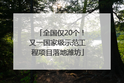 全国仅20个！又一国家级示范工程项目落地潍坊