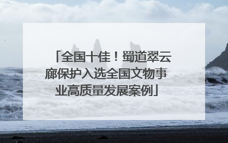 全国十佳！蜀道翠云廊保护入选全国文物事业高质量发展案例
