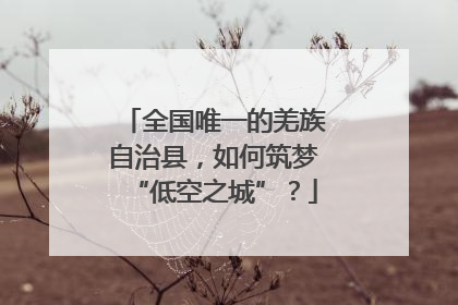全国唯一的羌族自治县，如何筑梦“低空之城”？