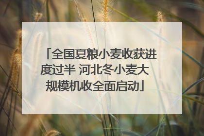 全国夏粮小麦收获进度过半 河北冬小麦大规模机收全面启动