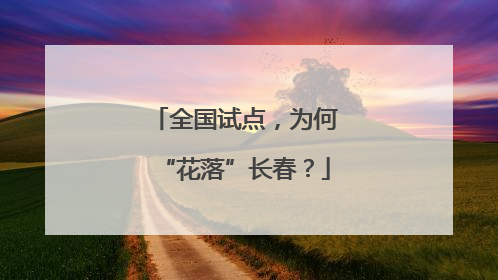 全国试点，为何“花落”长春？