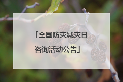 全国防灾减灾日咨询活动公告