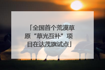 全国首个荒漠草原“草光互补”项目在达茂旗试点