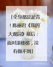 全身都是淤青！陈丽君《我的大观园》幕后：面对滚楼梯，没有做不到