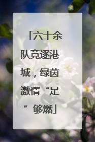 六十余队竞逐港城，绿茵激情“足”够燃
