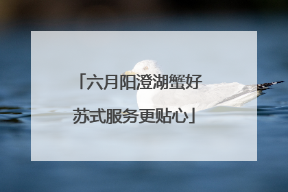 六月阳澄湖蟹好 苏式服务更贴心