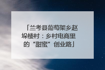 兰考县葡萄架乡赵垛楼村：乡村电商里的“甜蜜”创业路