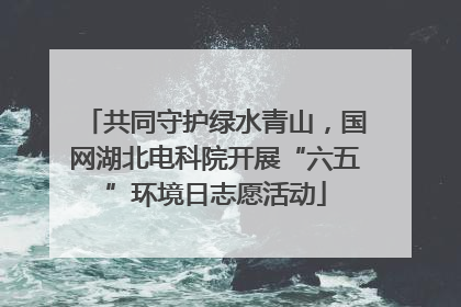 共同守护绿水青山，国网湖北电科院开展“六五”环境日志愿活动