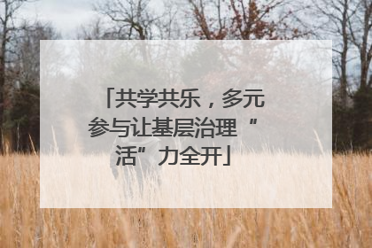 共学共乐，多元参与让基层治理“活”力全开