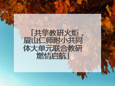 共擎教研火炬，眉山仁师附小共同体大单元联合教研燃情启航