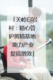 关岭白岩村：精心管护黄精基地 助力产业提质增效