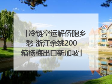 冷链空运解侨胞乡愁 浙江余姚200箱杨梅出口新加坡