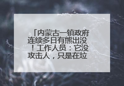 内蒙古一镇政府连续多日有熊出没！工作人员：它没攻击人，只是在垃圾桶翻找食物