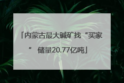 内蒙古最大碱矿找“买家” 储量20.77亿吨