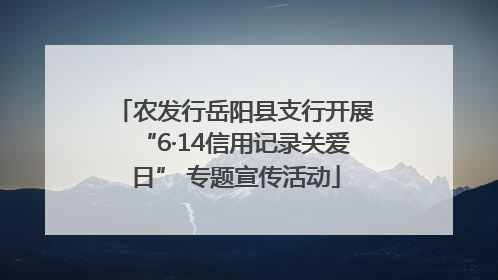 农发行岳阳县支行开展“6·14信用记录关爱日” 专题宣传活动