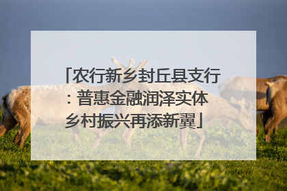 农行新乡封丘县支行：普惠金融润泽实体 乡村振兴再添新翼