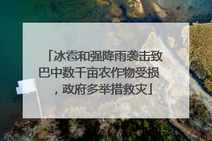 冰雹和强降雨袭击致巴中数千亩农作物受损，政府多举措救灾