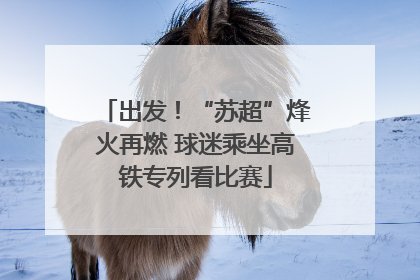 出发！“苏超”烽火再燃 球迷乘坐高铁专列看比赛