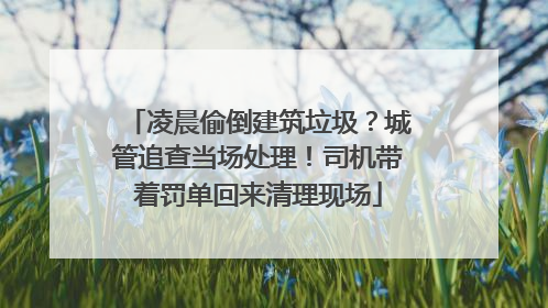 凌晨偷倒建筑垃圾？城管追查当场处理！司机带着罚单回来清理现场