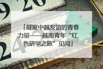 凝聚中越友谊的青春力量——越南青年“红色研学之旅”见闻