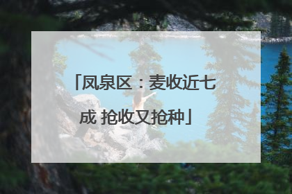 凤泉区：麦收近七成 抢收又抢种