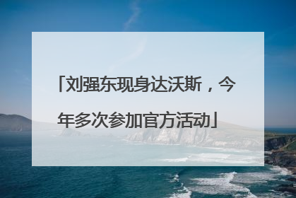 刘强东现身达沃斯，今年多次参加官方活动