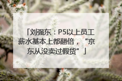 刘强东：P5以上员工薪水基本上都翻倍，“京东从没卖过假货”