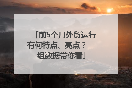 前5个月外贸运行有何特点、亮点？一组数据带你看