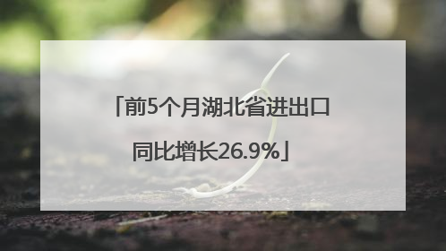 前5个月湖北省进出口同比增长26.9%