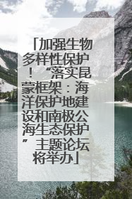加强生物多样性保护！“落实昆蒙框架：海洋保护地建设和南极公海生态保护”主题论坛将举办