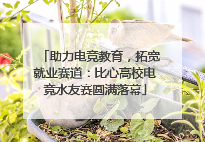 助力电竞教育，拓宽就业赛道：比心高校电竞水友赛圆满落幕